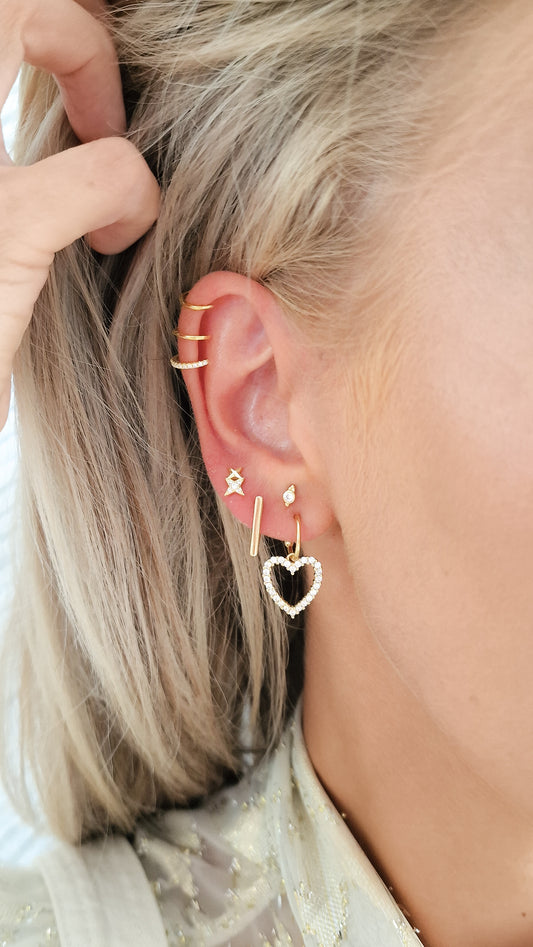 Shiny heart oorbelÂł