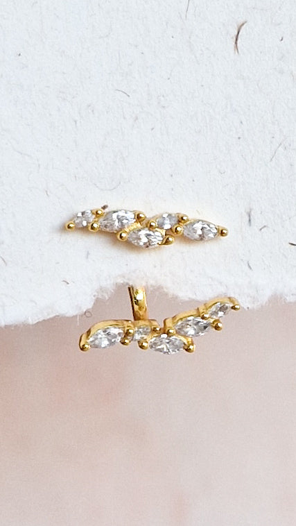 FD - THE LABEL - Grow steker