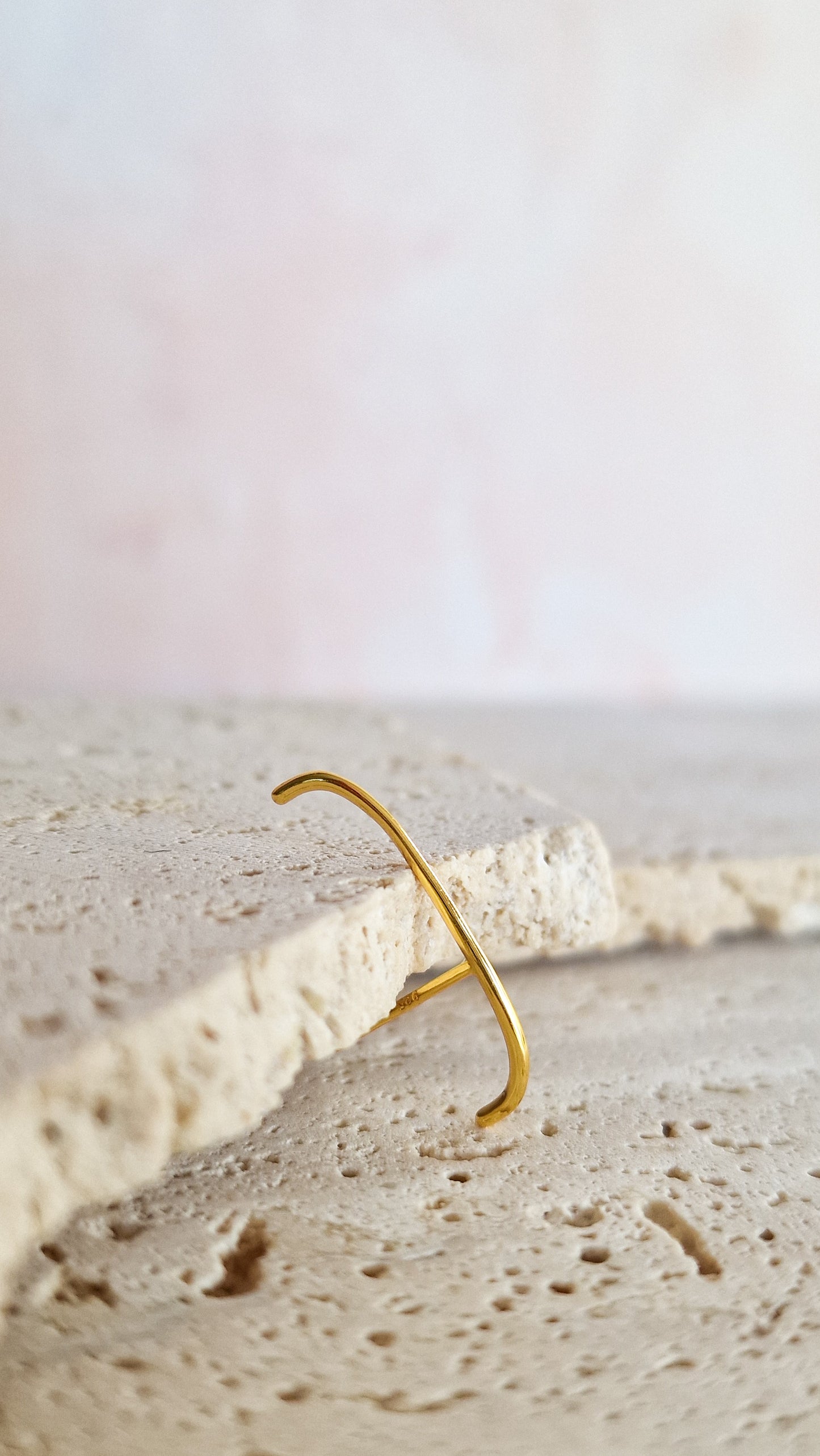 FD - THE LABEL - Minimal oorbel