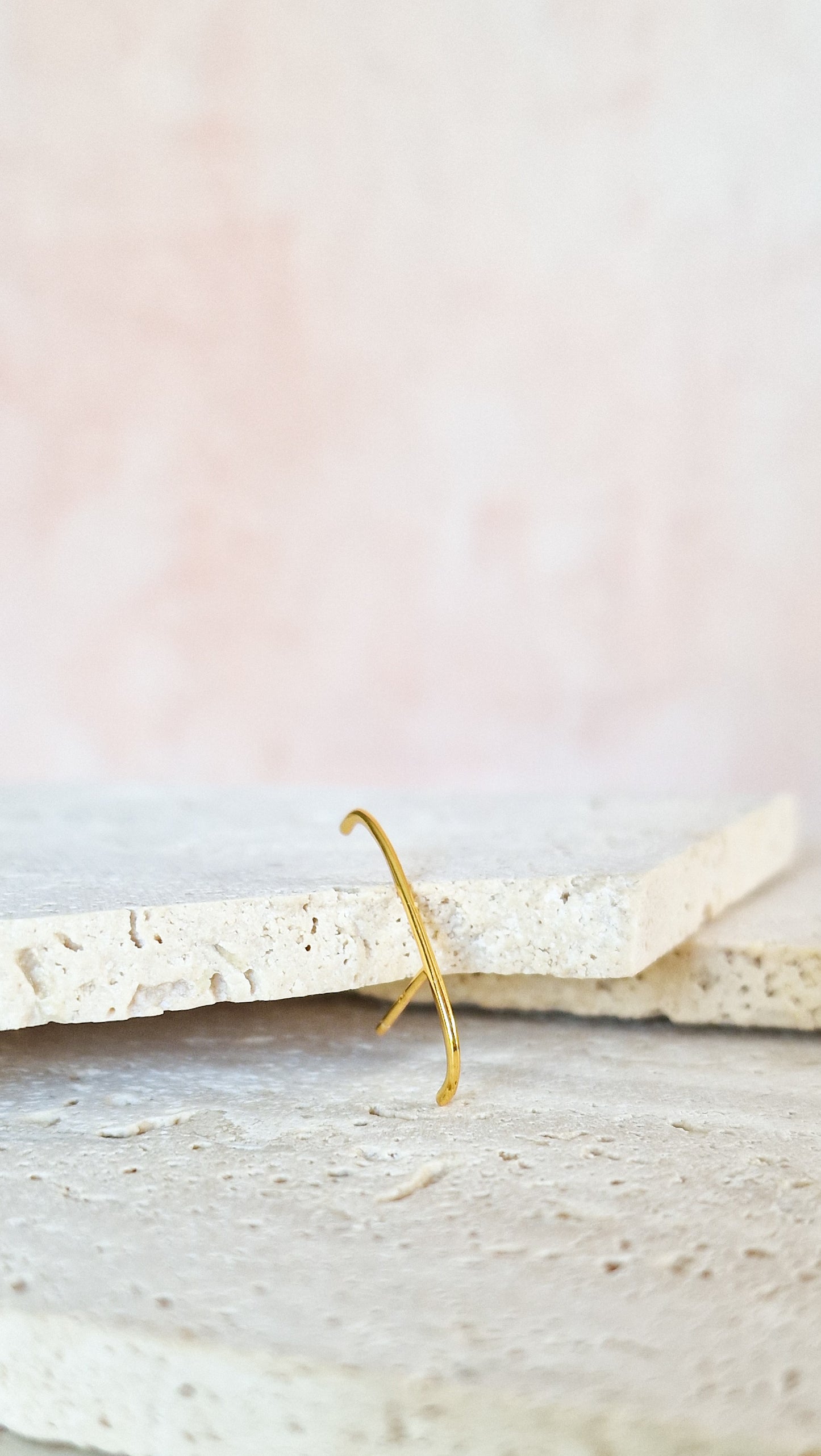 FD - THE LABEL - Minimal oorbel