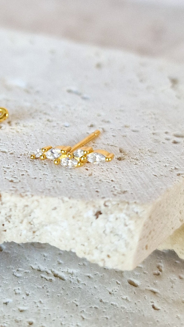 FD - THE LABEL - Grow steker